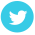 footer-twitter